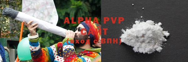 гашик Верея