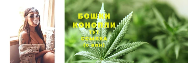 гашик Верея