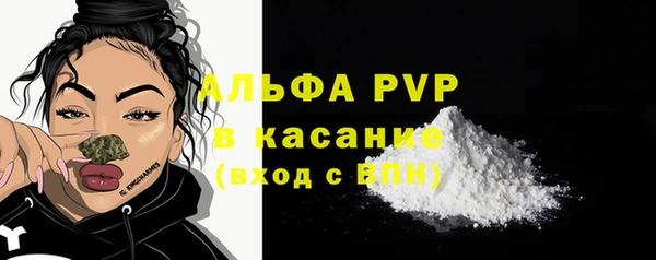 гашик Верея