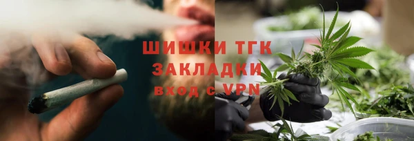 гашик Верея