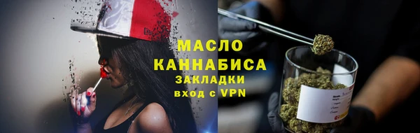 гашик Верея