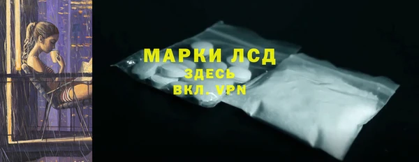 гашик Верея