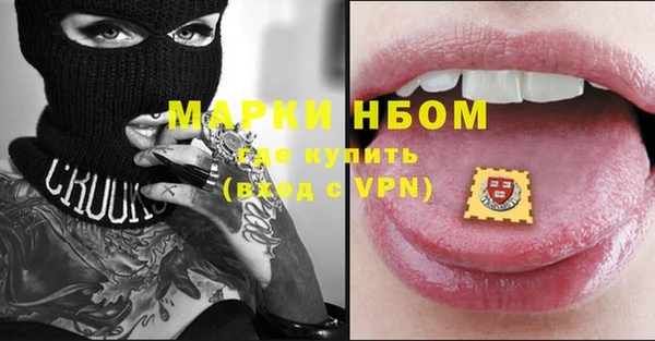 гашик Верея